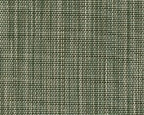 FS-018 Autumn Fern