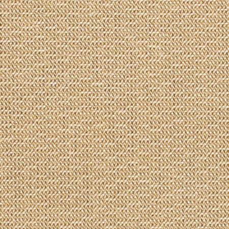 Dazzle-Wren